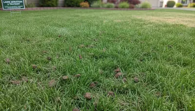 Healthy green lawn recovering after professional aeration service by Chop Chop Landscaping in Tacoma, WA
